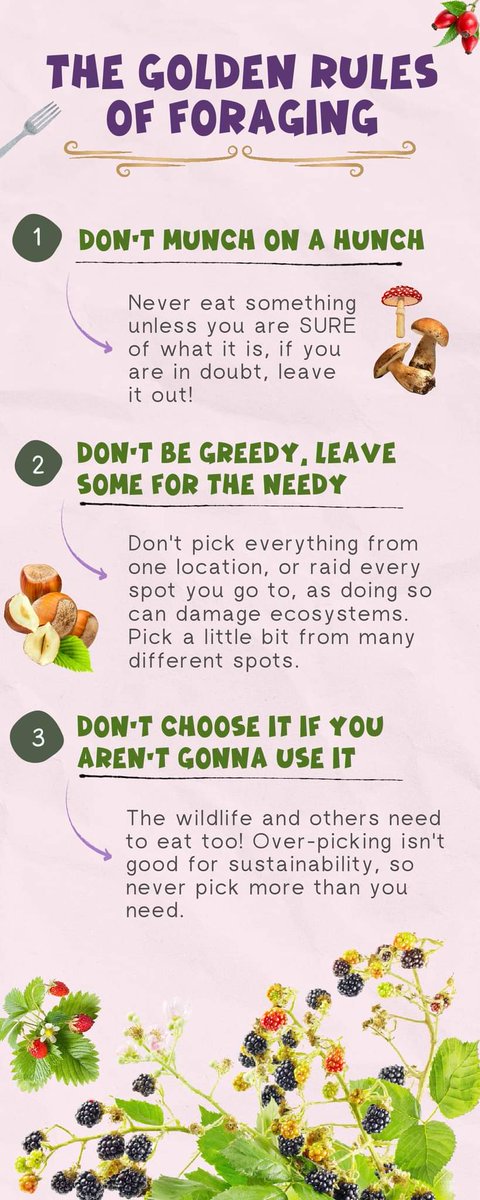 Golden Rules of Foraging: 
Don't munch on a hunch! 
Don't be greedy, leave some for the needy! Don't choose it of you aren't gonna use it! 

More info:
m.facebook.com/story.php?stor…