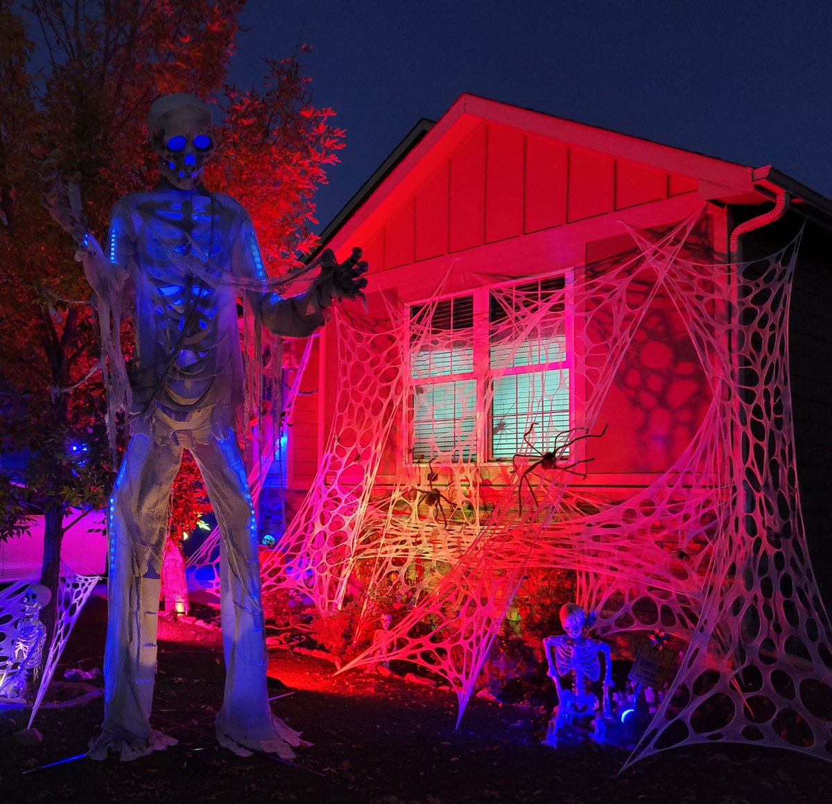 DebInColorado tweet media