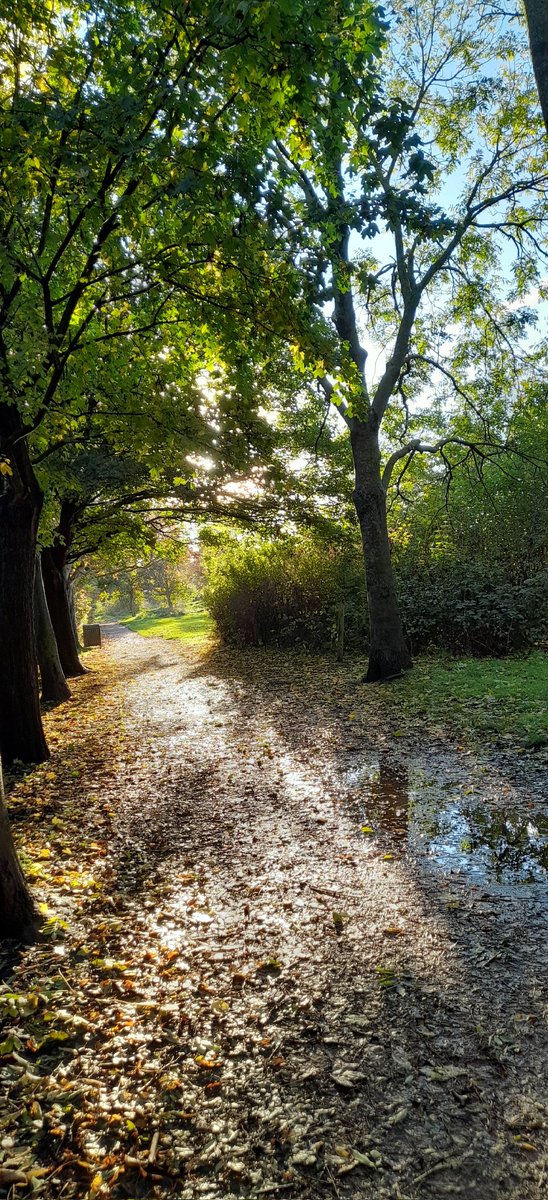 BrownNaila's tweet photo. #SecretMeadow 😍 https://t.co/OK6NRvPwtf
