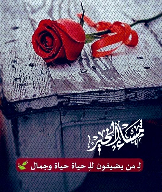 من أعظمُ الأرزاقِ 
دعوةٌ رُفِعَت باسمك في ظهرِ الغيب.
لا أنتَ طَلبتها. ولا حتى تَعلَمها..

.مـســــــاء الخيــــــر ♥️