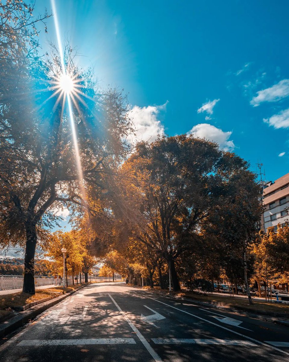 DSSTourism's tweet photo. Urrian Donostiak zuhaitzetako hostoen 🍂 kolore okrea hartzen du eta hiriaren edertasuna  eta xarma 💛 are gehiago nabarmentzen da!

➡https://t.co/cMfpQGrJTE

📸 @txema_alonso

#kaixodonostia
#sansebastiantourism

#Donostia #Udazkena #urria #Planak https://t.co/yl5k3wZPeG
