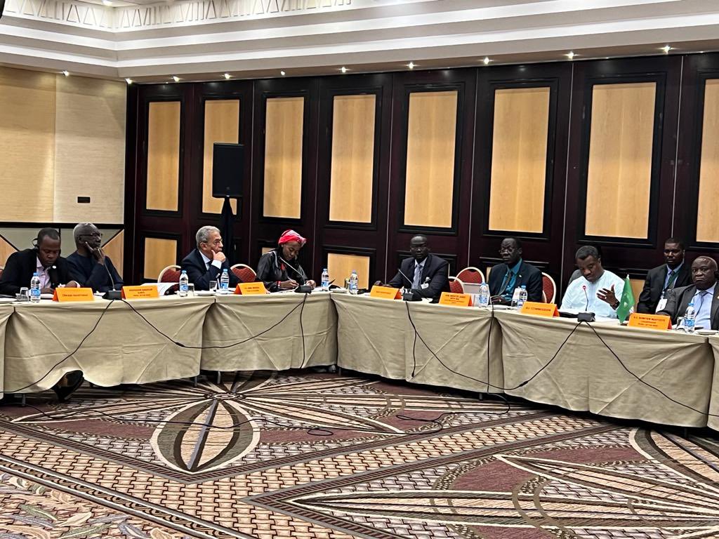 SarjohBah3's tweet photo. Delivered statement at inaugural meeting of the revitalized Pan-African Network of the Wise #PANWISE in Windhoek, Namibia. The Network deliberated on peace, security, governance in Africa &amp; global developments. The Network further reflected on broader efforts at Silencing Guns. https://t.co/hBiAgKAMdK