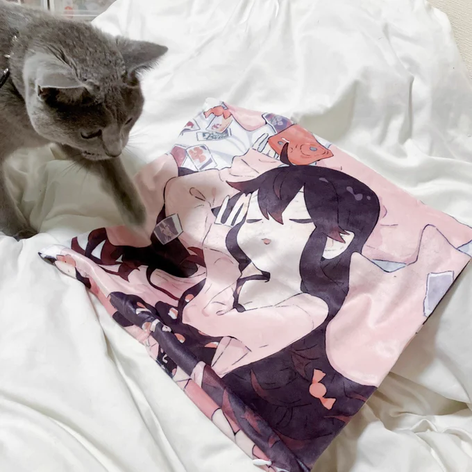 猫もとばりちゃんが好き 