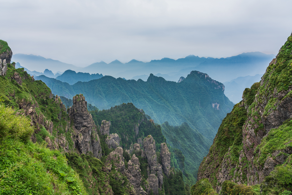 “It’s good for us, it’s good for the #forest, it’s good for everyone.” A project with @theGEF and @UNEP support is working to restore #biodiversity in China’s Shennongjia National Park & provide communities with sustainable livelihoods 🌳🌏 Read more: wrld.bg/I59650LfPOO