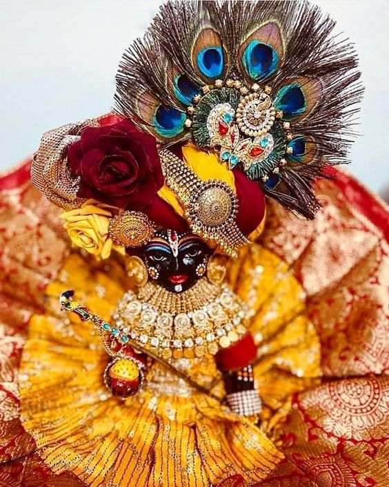 myladdugopal's tweet photo. जिसकी बांके बिहा���ी से प्रीत है !
उसी की हर जंग में जीत है !!
!! राधे राधे !!.
.
.
#LADDU #DiwaliSpecial #DIWALI2022 #crackerban #Krishna #Trending #Postseason #PicOfTheDay #trendigpost #krishnalover #vrindavan #iscon #bankebihariji #Tweetoftheday https://t.co/BTFuI524VY