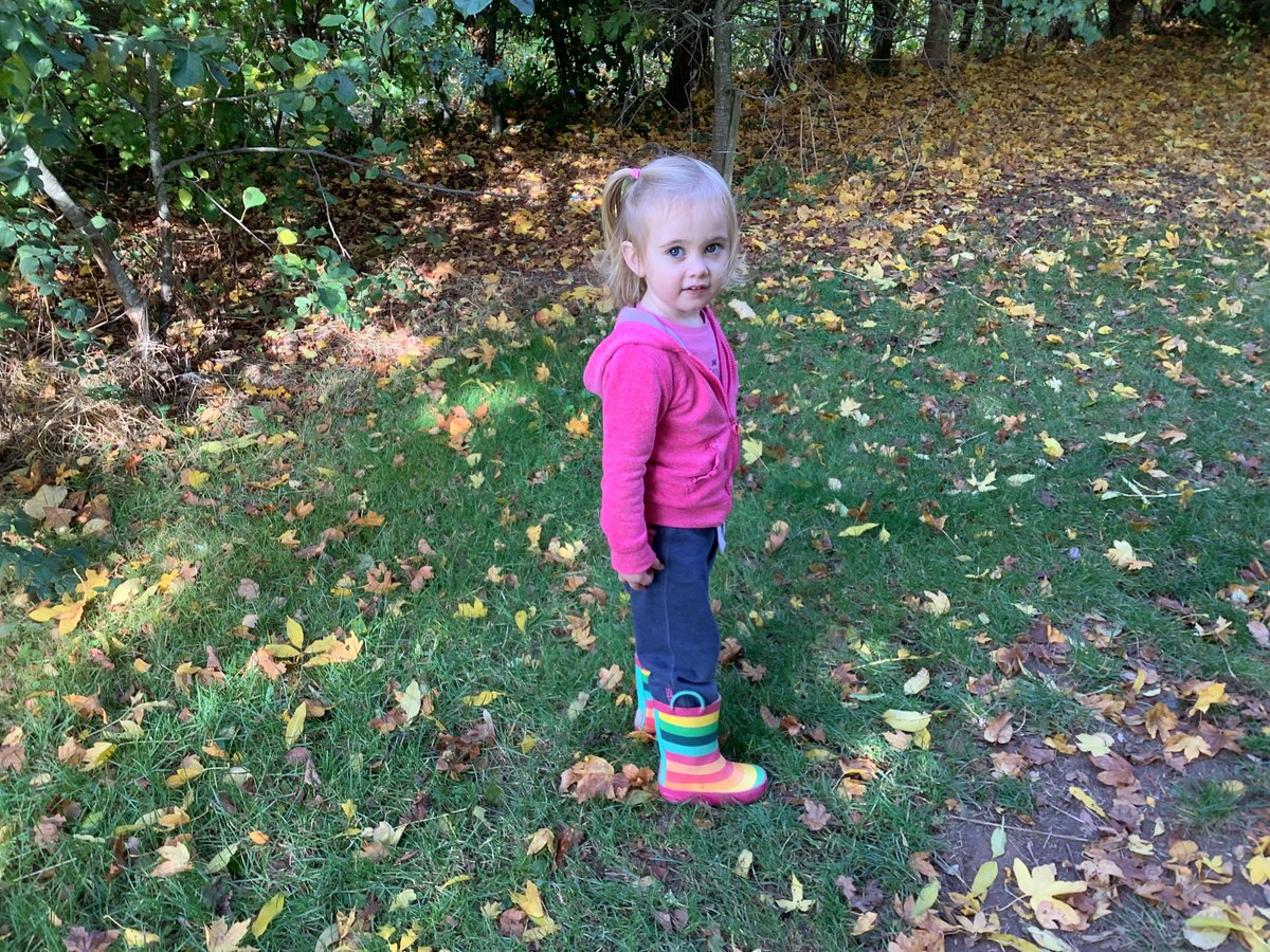 NEC_LPS's tweet photo. Its been great to get out to Forest School this week and enjoy some autumn sunshine and a bit of tree hugging. We are super proud of the Little Wrens who put their overalls on all by themselves too. #LPSeyfs #LPSrshe https://t.co/V0UvGCSZo0