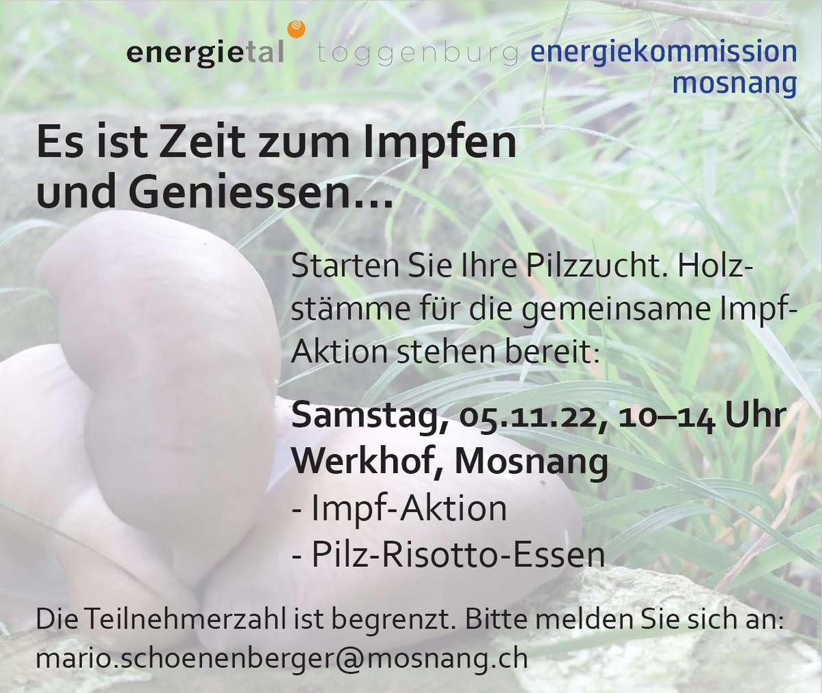 Herbstzeit ist Pilzzeit. Stundenlang durch den Wald streifen, ohne Garantie auf Erfolg, ist nicht für alle Menschen. Warum also nicht, die Pilze im eigenen Garten sammeln? #pilz #pilzen #pilzsaison