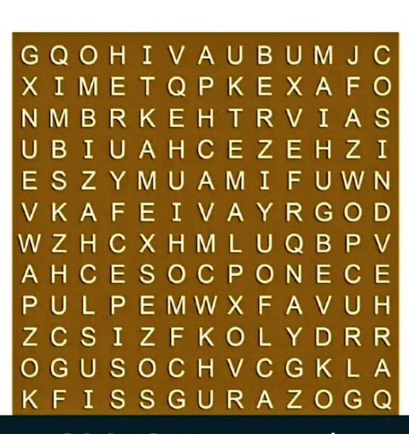 💙💜Berny🐶🐱🇨🇱 tweet media