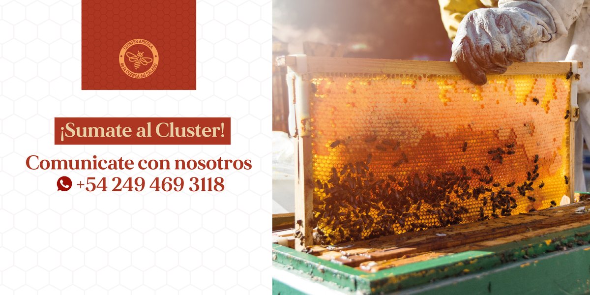 clusterapicola's tweet photo. Beneficios:
• Optimizar comercialmente las organizaciones que lo integran
• Generar un fortalecimiento del equipo técnico
• Generar análisis de calidad de la miel
• Mejorar el fraccionamiento de la miel
• Acceso a manuales de calidad
• Capacitaciones
• Sello de pertenencia https://t.co/lea4XfqQNO