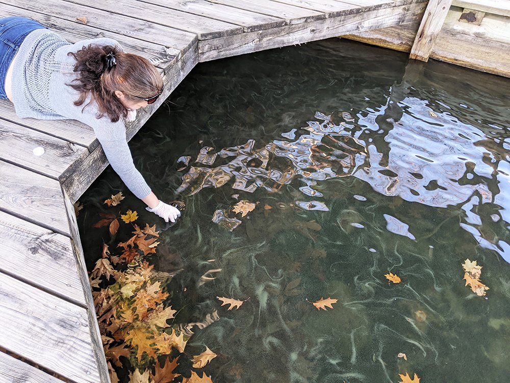 Will you be an AlgaeWatcher? We have launched a new citizen science program called AlgaeWatch and we’re seeking volunteers to monitor your favorite areas of the Lake for excessive algae growth and (HABs). Sign up at lakegeorgeassociation.org/algaewatch. We protect Lake George, together!