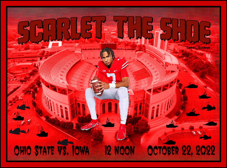 SusanSweet44's tweet photo. CJ sees dead birds. Only one more day till the slaughter!!🪶🪶🪶 #OhioState #GoBucks #BeatHawkeyes #ScarletTheShoe https://t.co/pCRFLwVVUm