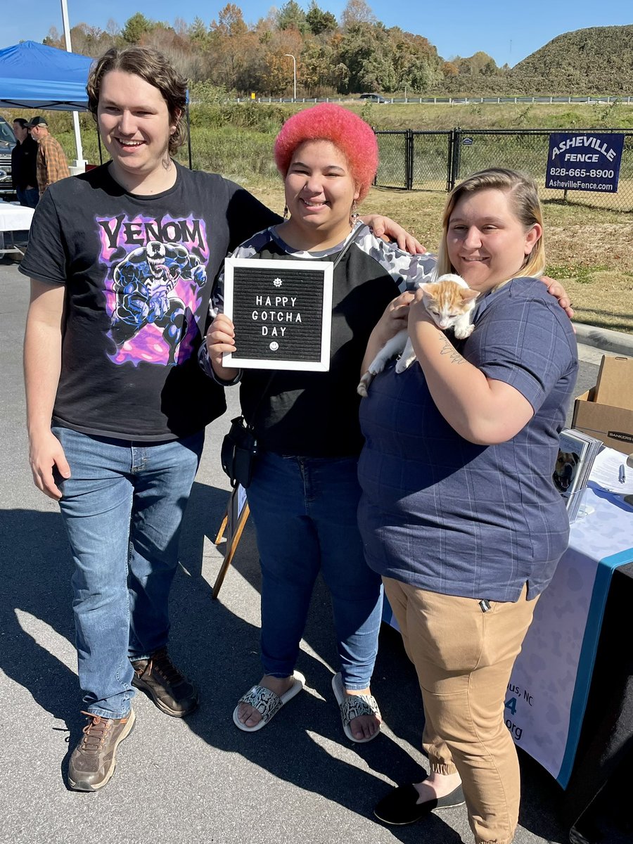 Meghan Danahey on Twitter "Up to 19 adoptions now at WLOS_13 Pet