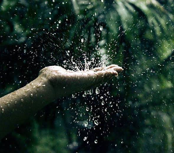 scieinspirit's tweet photo. മഴ അനുവാദം ചോദിക്കുന്നില്ല🌧️
മഴ പെയ്തിറങ്ങണം. മിക്കപ്പോഴും ചാറ്റലായി, അത്യപൂര്വ്വമായെങ്കിലും ഒരു പേമാരിയായി...
സത്യത്തിന്റെ കുളിരില് കെട്ടിപ്പിടിക്കണം. പെയ്യുമ്പോള് എന്തെല്ലാം നനയ്ക്കണം എന്ന ചോദ്യത്തിന് പ്രസക്തിയില്ല.
#factbasedpolitics #cravichadran https://t.co/IjhUXQD7en