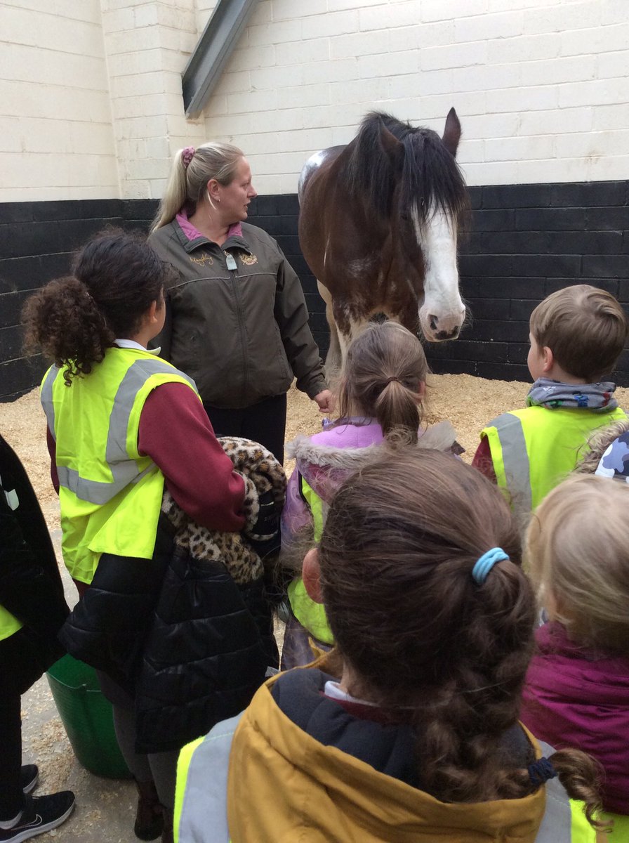 MelthamMoor's tweet photo. We had a super day at NCM. It consolidated the work we had done on the history of local industry and the unit on rocks and fossils in science.
#MMY3 #MMscience #MMhistory https://t.co/6HThTKCQng