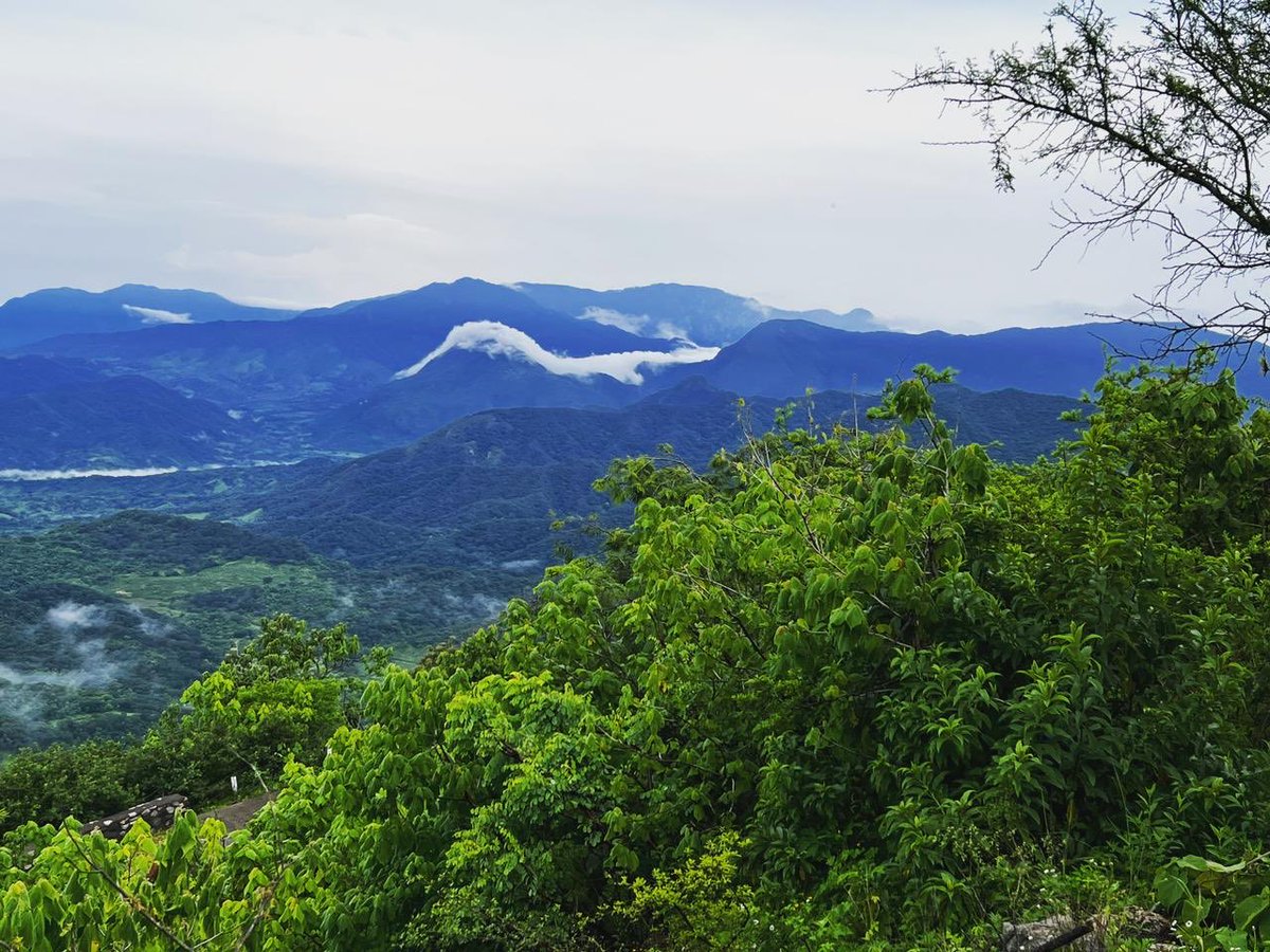 manantlan1's tweet image. #Manantlan: lugar de manantiales o lloraderos de agua. Así luce nuestra sierra que brinda agua a casi 1 millón de personas que viven dentro y en su área de influencia! Esta #ANP es un tesoro en #Jalisco y #Colima y se conserva gracias a sus habitantes.