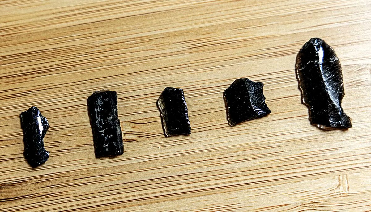 tac_org's tweet photo. A new analysis of obsidian artifacts from southwestern Iran reveals large Neolithic networks.
https://t.co/EWCgXXUhH0
#Archaeology #ComputerModeling #Obsidian #Iran #Neolithic https://t.co/TDepN6LHEe