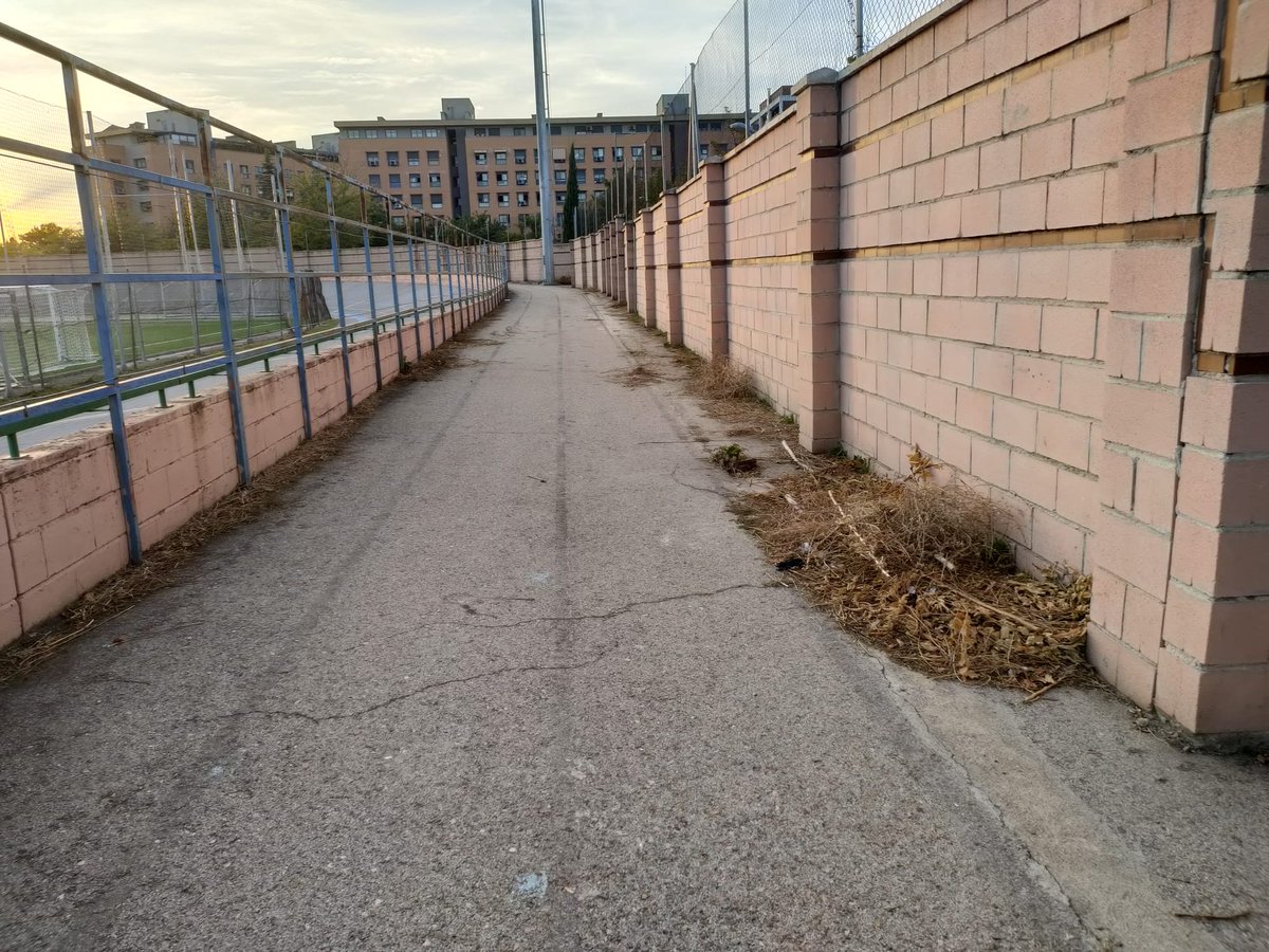 becerrafj's tweet photo. 🚨 Gracias a la Unión Ciclista Coslada por abrirme las puertas del velódromo y poder comprobar toda la serie de despropósitos que tienen que soportar los ciclistas.

👉🏻 Conos, restos de poda, acometidas de luz que cruzan de lado a lado... https://t.co/YcM16680vY