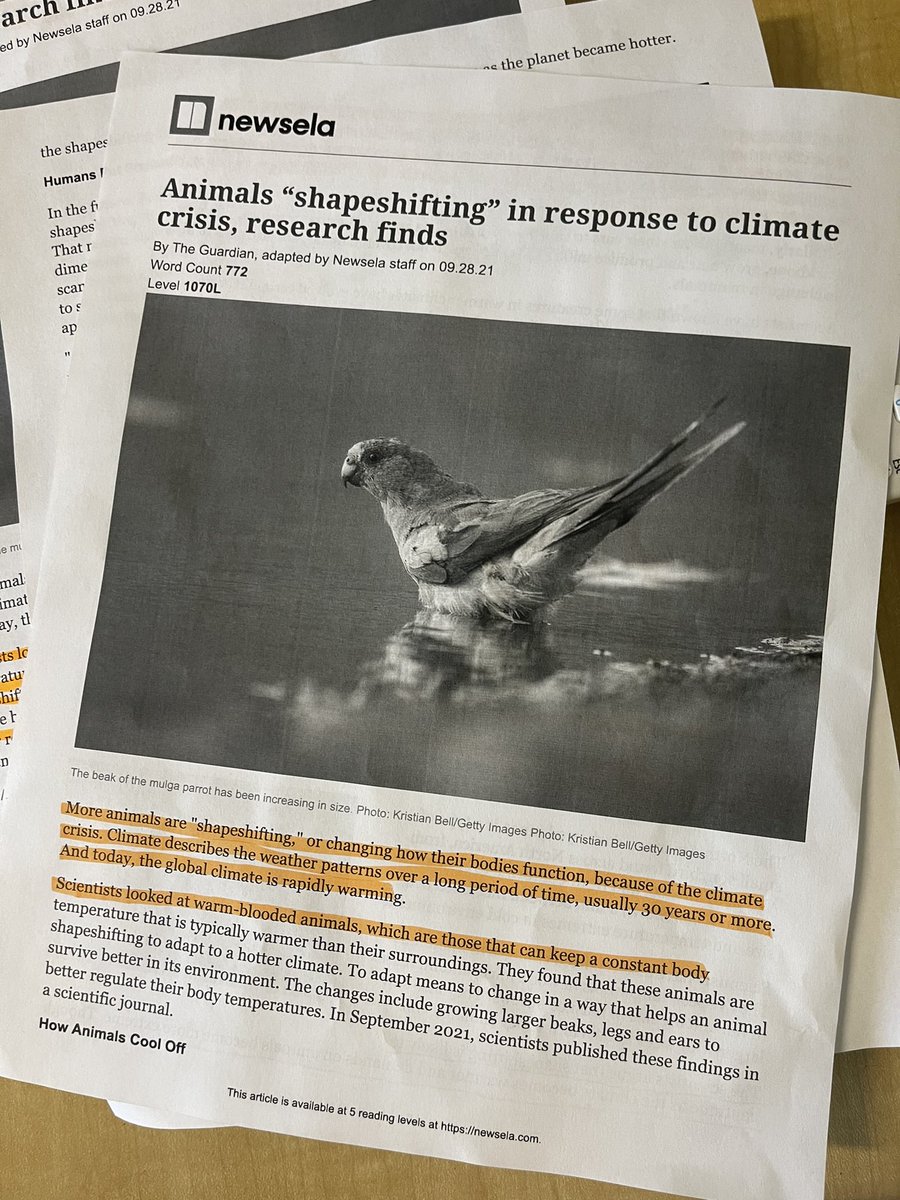 We are working on synthesizing. After reading an informative news article, students followed the “I read…”, “I think….”, “Therefore…” process in small groups.