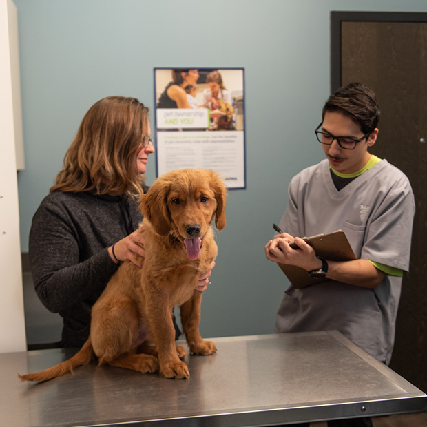 Tweet by AVMA (American Veterinary Medical Association)