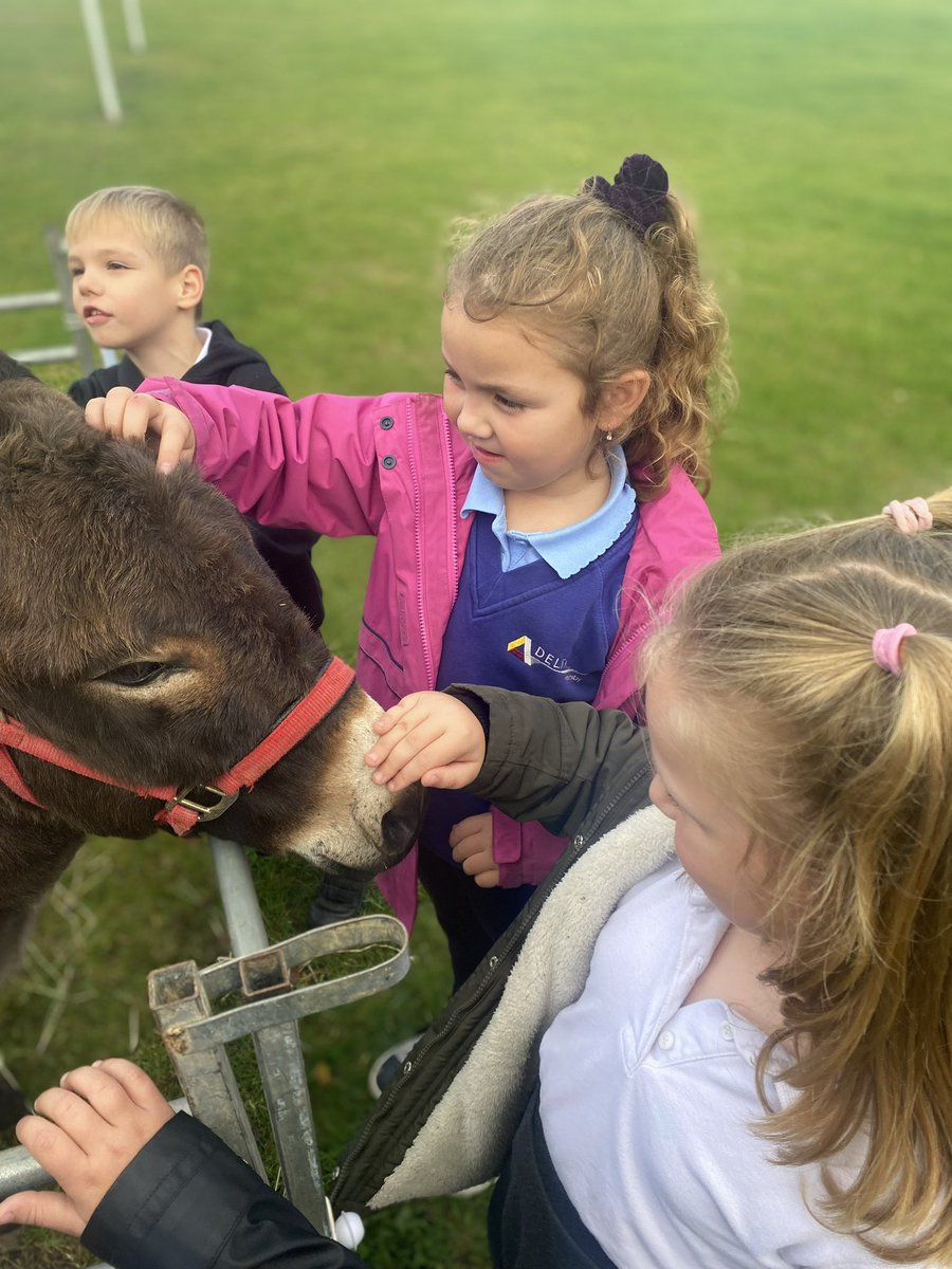 Weelsby Academy Year Six (@y6weelsby) on Twitter photo What a lovely GTBG treat this afternoon. Year One loved meeting the animals from <a href="/nunnysfarmcic/">Nunnys Farm CIC</a>! 🐐 🐰 🐑🐖 What a lovely GTBG treat this afternoon. Year One loved meeting the animals from <a href="/nunnysfarmcic/">Nunnys Farm CIC</a>! 🐐 🐰 🐑🐖
