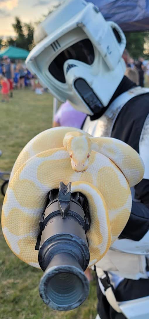 Happy National Reptile Day!! 🐍🐢🦎 TK-2193 was in search for some Ewoks at the Elizabethtown National Night Out but came across another creature! #GarrisonCarida #GarrisonCaridaTroopers #offical501st #BadGuysDoingGood