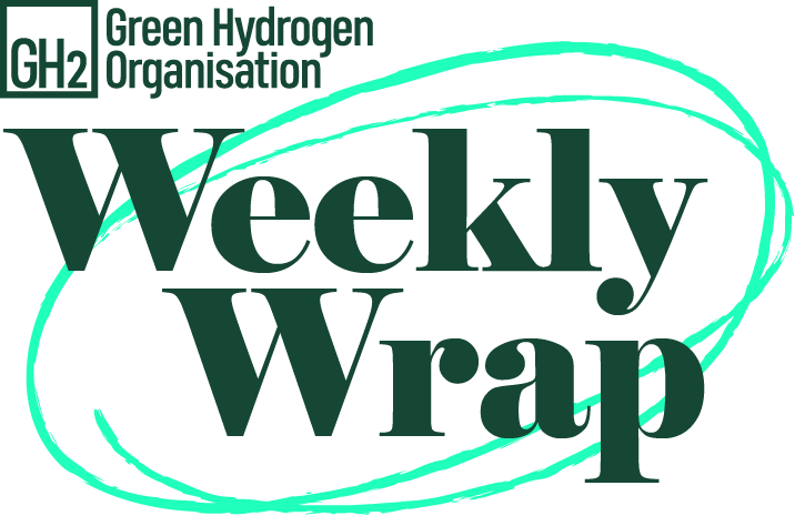 Green Hydrogen Organisation tweet media