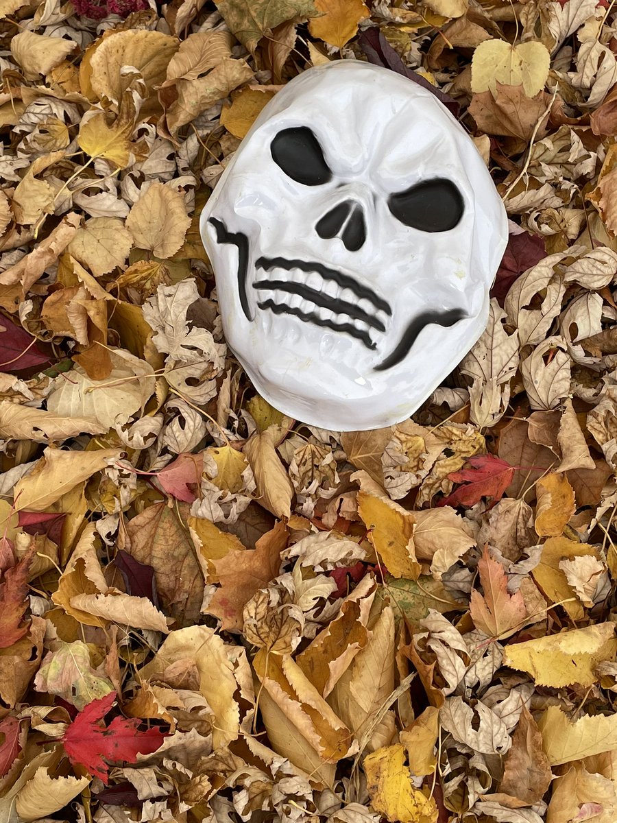 Red Socks Go With Absolutely Anything tweet media