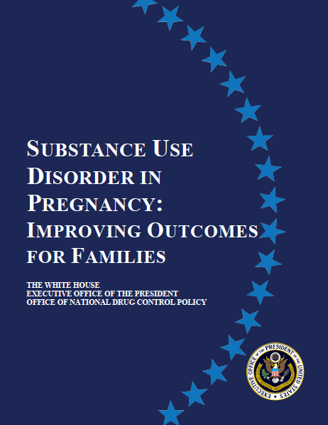 1/Over the last year I had the opportunity to be part of an amazing team @ONDCP @WhiteHouse that was focused on improving outcomes for pregnant women & infants affected by the #opioidcrisis. My time ended in Sept, but today the team's report was released.