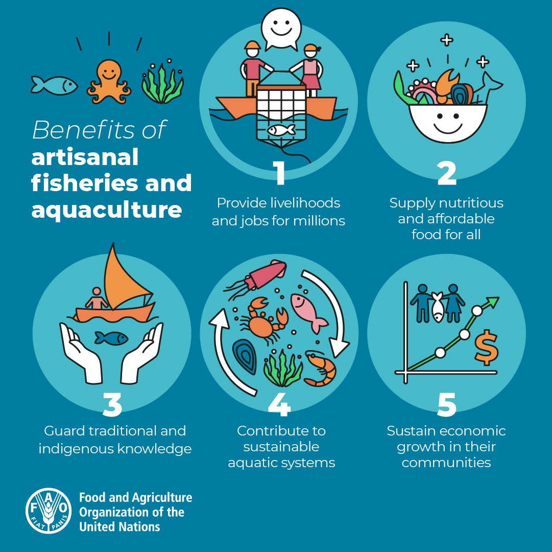 With the Year of #ArtisanalFisheriesAquaculture coming to an end, we must not forget that supporting small-scale fishers, fish farmers & fish workers is key to achieving #BlueTransformation & a sustainable future for all of us.

#IYAFA2022