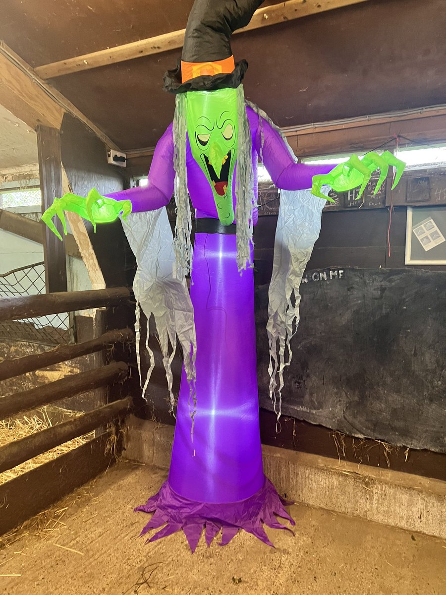 BucksGoat's tweet photo. We are all ready for Halloween week 👻 
Lots of activities to join in with 🎃 
Animals and staff look forward to seeing you soon 🐐❤️🐐❤️ https://t.co/QqT8wWGkIC