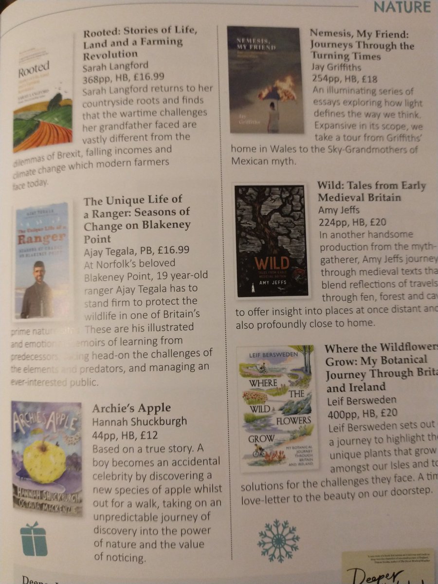 KettsBooks tweet media