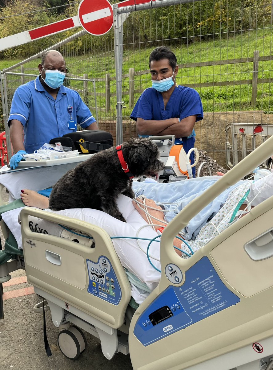 ICU patients receiving pet therapy is the best. Taken just outside the garden area as the surface needs final layer of resin before we can use. #icu #icurehabgarden