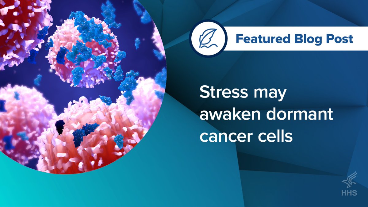 Stress may wake up resting cancer cells, causing cancer to return, according to @theNCI-supported researchers. Learn more about their findings: bit.ly/3eBcQVM. #CancerResearch
