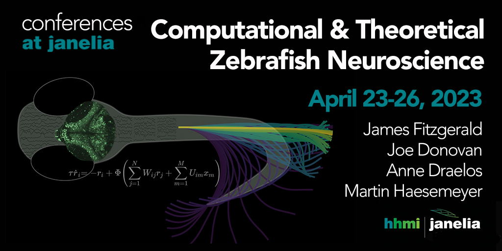 📢 Applications are now open! 🧠 Apply to participate in this community-building workshop for researchers interested in the interface between zebrafish neuroscience & computation by Jan. 6. 🏠 Lodging & meals covered. More info ▶️ janelia.org/you-janelia/co… @janeliaconf