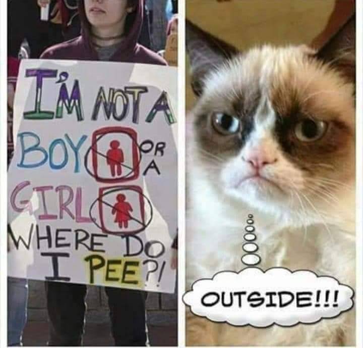 Donald Horwitz (@donaldhorwitz7) on Twitter photo 