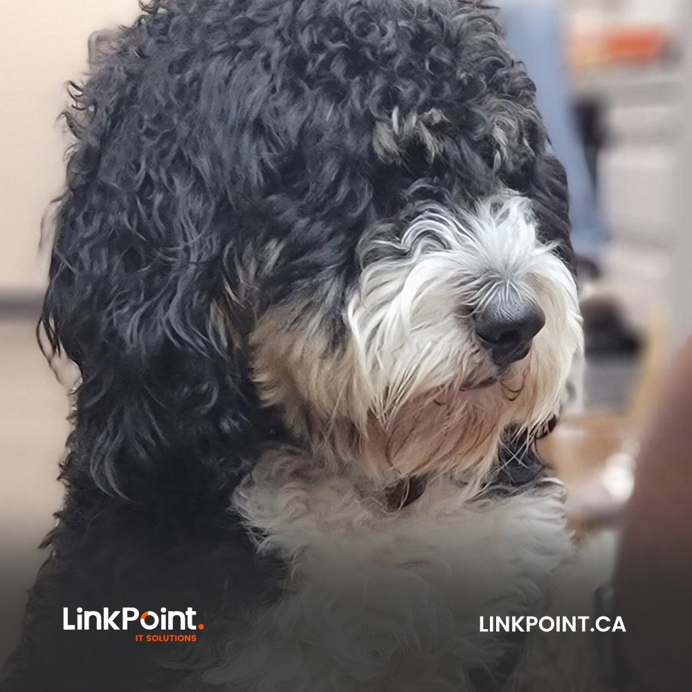 LinkPointIT's tweet photo. Learnings from four-legged friends at the workplace: 

- Getting treats: Recharge, Get a snack.
- Going for walks: Refresh, Take a break, brings in clarity.
- A lot of cuddles: Reflect, Take care of others.

We rely on our puppies more than we realize!
#puppy #tech #culture #work https://t.co/ZB6IF9Lt2J