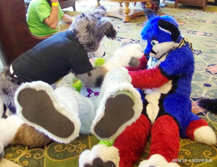 THE_BJBUTTONS's tweet photo. #OctoBEAR 21 #fursitfriday belly rubs @MephitFurMeet #Mephitfurmeet #Mephit #MFM #Mephit2016 #fursuit #fursuiter #fursuiting https://t.co/aOPEJ8gisy