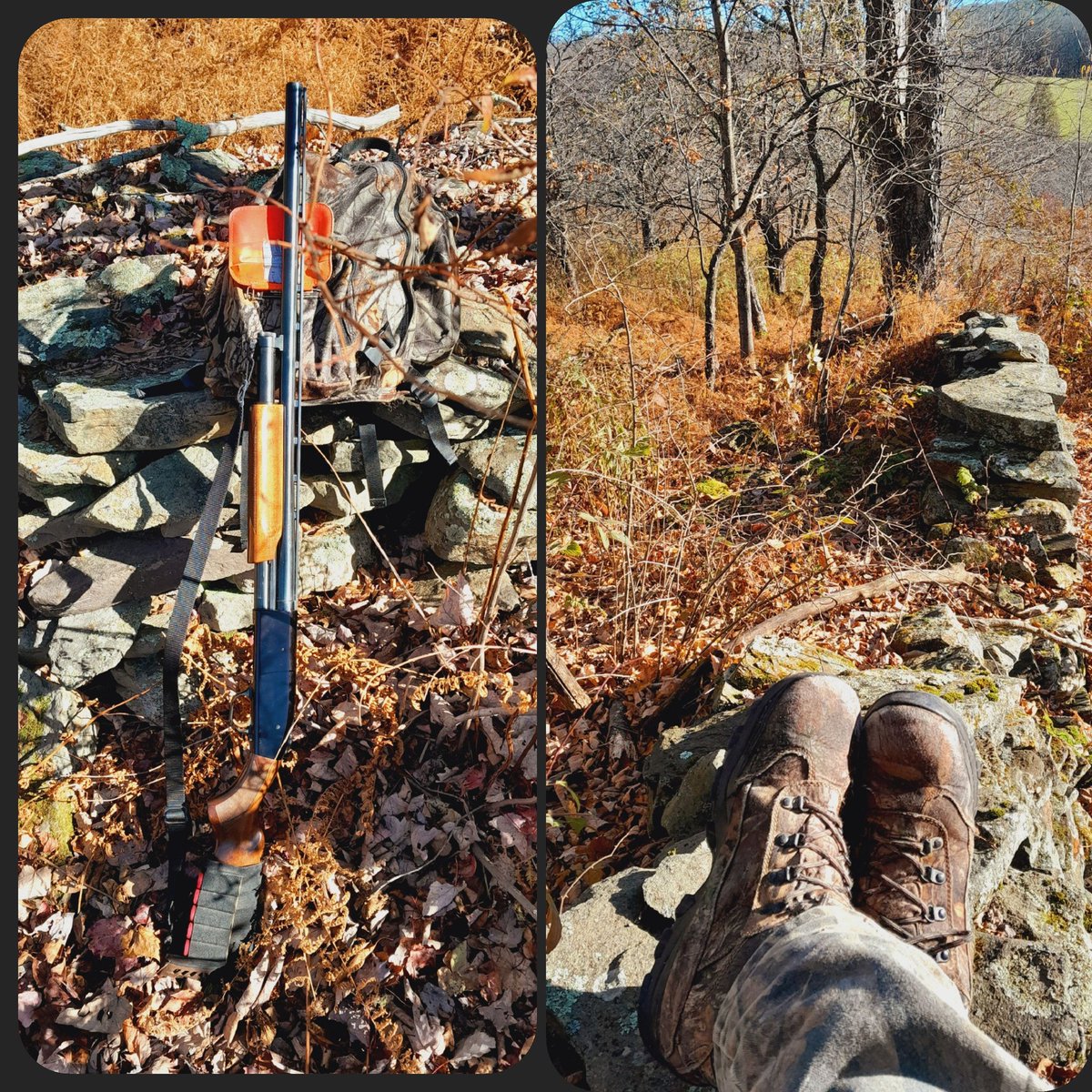 Pheasants 1 hunter 0 but the scenery is the best thing. 🙂