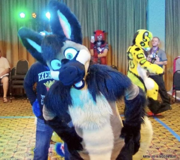 THE_BJBUTTONS's tweet photo. #OctoBEAR 21 #fursuitfriday #paddlefoot in the ballroom during the Ice Cream Social at #Mephit2016 @Mephitfurmeet #Mephitfurmeet #Mephit #MFM #fursuit #fursuiter #fursuiting #bear #costume https://t.co/tZmxYHvsU2
