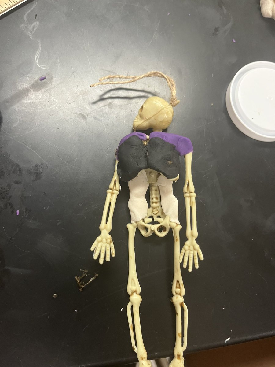 WinkelmannSara's tweet photo. Making muscles with playdoh on a Halloween decoration! Med Terms is finding new ways to learn! @JerseyVillageHS @jvhsprincipal https://t.co/AYoSPOwHAU