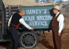 For 20 years I have been saying Frank Luntz is a real life Mr. Haney (from Green Acres).