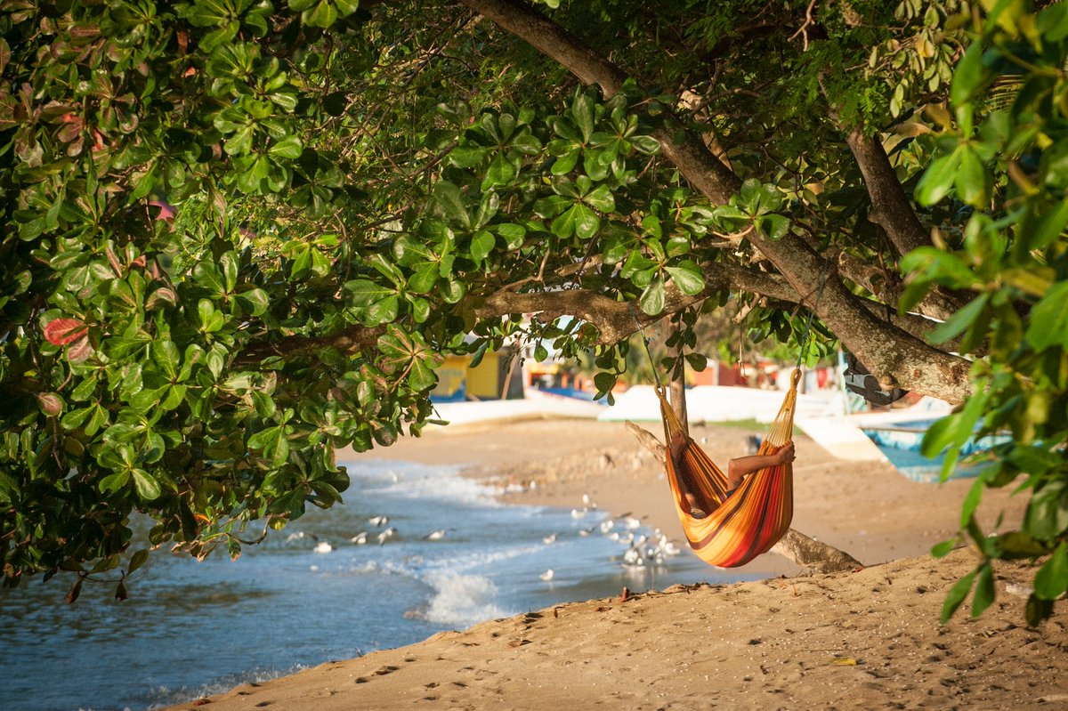 visit_tobago's tweet image. Long walks on the beach are just the beginning 🌊 Experience #Tobago with that special someone on your next getaway. 
Balmy beaches ✅ 
Outrageously lush rainforest ✅
Endless sunshine ✅
The perfect ingredients for your next adventure. 
📍Man O' War Bay #101ReasonsTobago