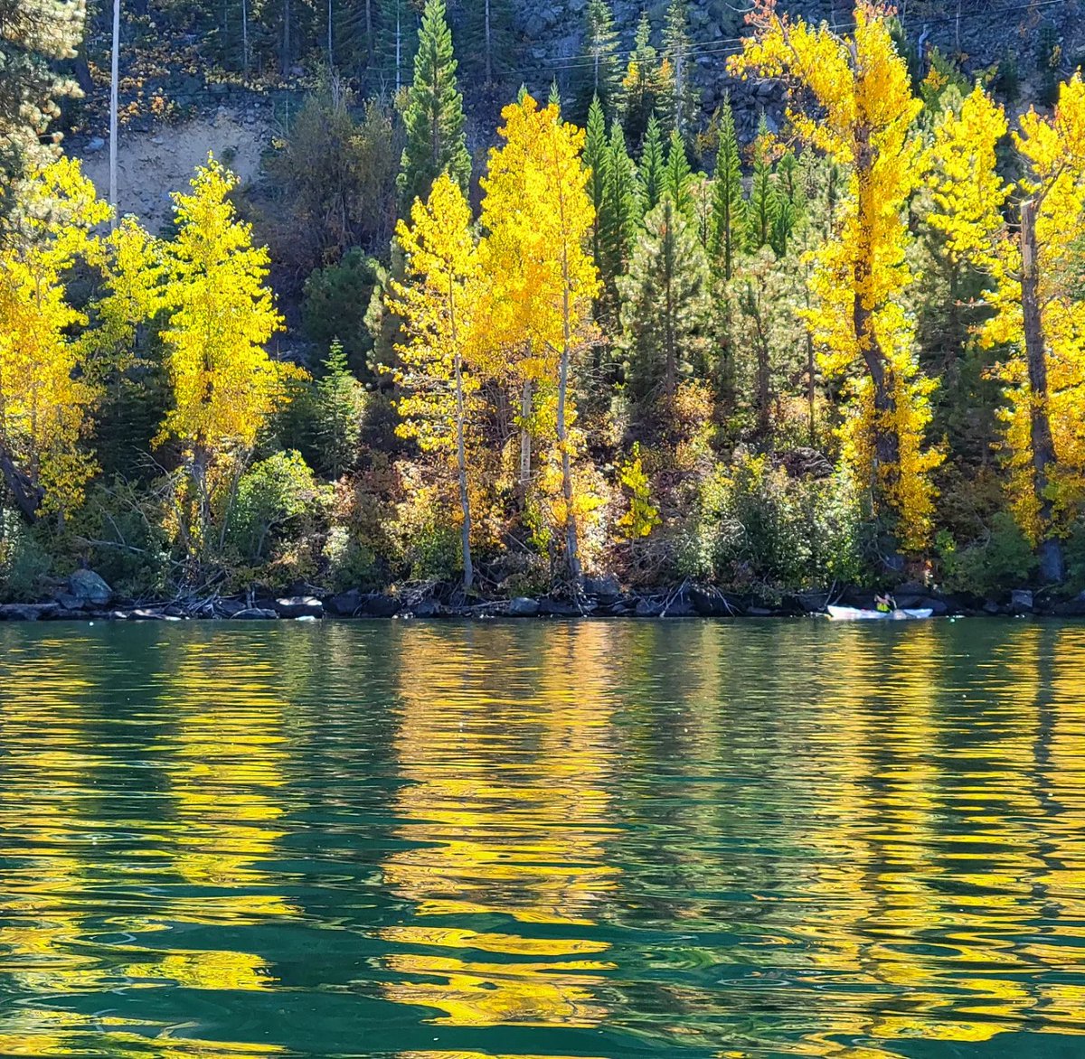 Nick Carlson tweet media