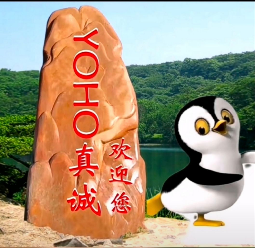 YOHO是一颗耀眼的明星哦，把握住