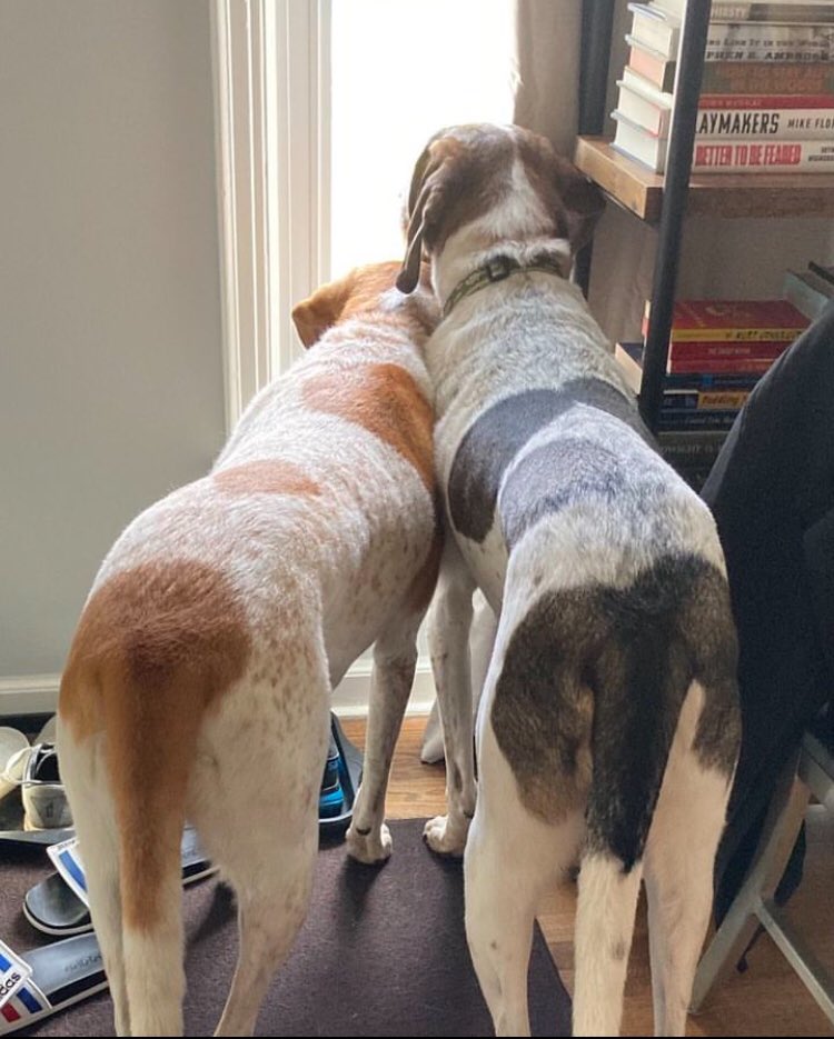 😆🥰🥰🐶🤩❤️‍🔥