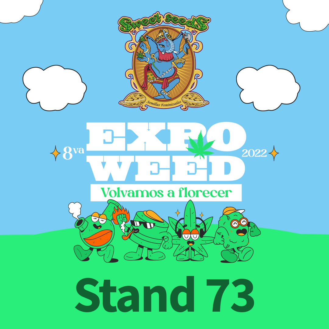 sweetseeds_es's tweet photo. 😍¡VOLVEMOS A ENCONTRARNOS, VOLVEMOS A FLORECER!🌱

🥳Hoy Sweet Seeds® ✈️ se dirige a la FERIA MÁS GRANDE DEL CAÑAMO EN AMÉRICA LATINA #EXPOWEEDChile ! 🇨🇱💚

📍Ven a visitarnos y conoce todas nuestras novedades en el stand 7⃣3⃣ https://t.co/UHTsZDWmmv