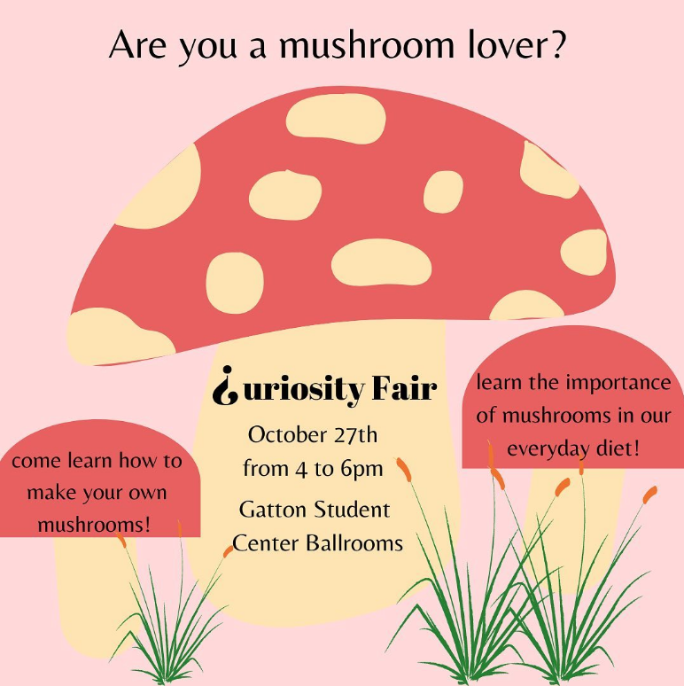 uk_curiosity's tweet photo. #UKCuriosityFair is next week! https://t.co/RVi1nb0bLM