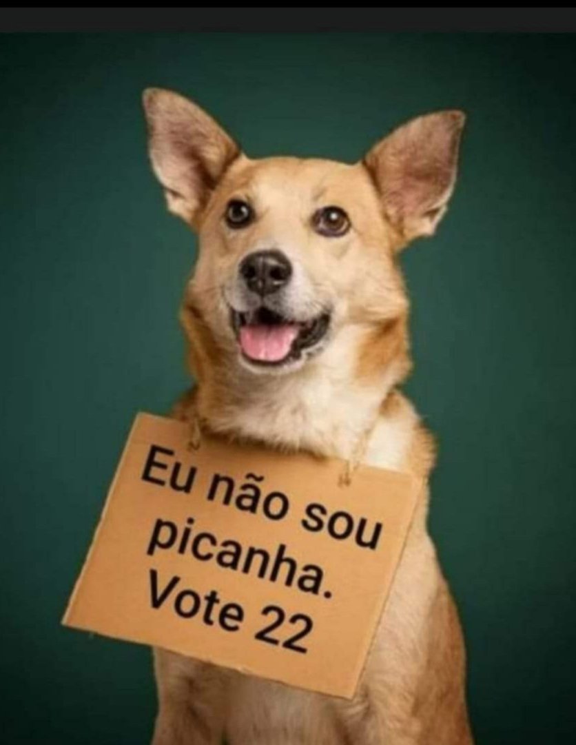 AneleMaria51's tweet photo. https://t.co/Tmqe1QyThC