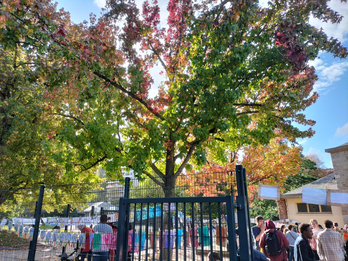 Ecole Trégain tweet media