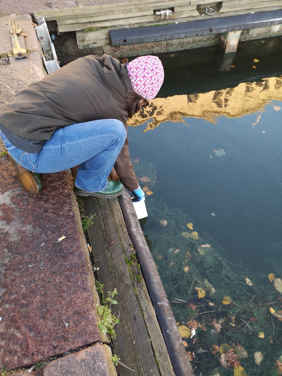 CyanoBaltic's tweet photo. Our sampling season came to an end, but cyanobacteria don´t know and are still blooming! Of course, we did not miss the opportunity to collect new samples 🧪 https://t.co/ZEEy46W55e